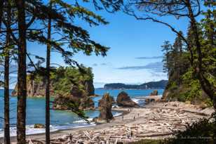 Ruby Beach-7274